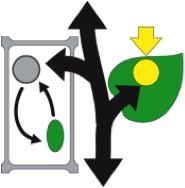 CRC 648 : Molecular mechanisms of information processing in plants CRC 648 : Molecular mechanisms of information processing in plants